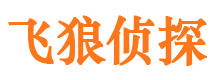 淅川市侦探调查公司